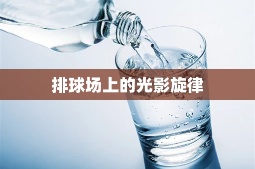 排球场上的光影旋律