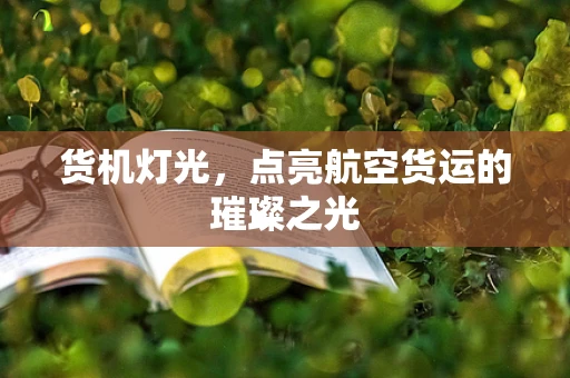货机灯光，点亮航空货运的璀璨之光