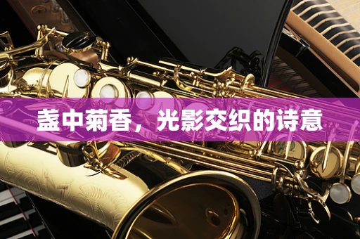 盏中菊香，光影交织的诗意