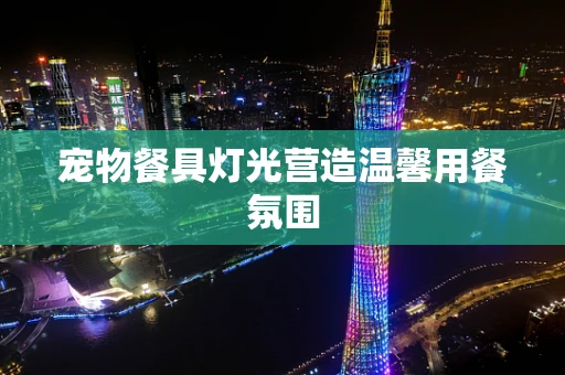 宠物餐具灯光营造温馨用餐氛围