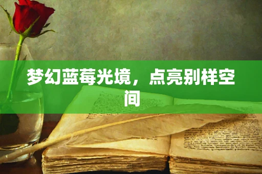 梦幻蓝莓光境，点亮别样空间