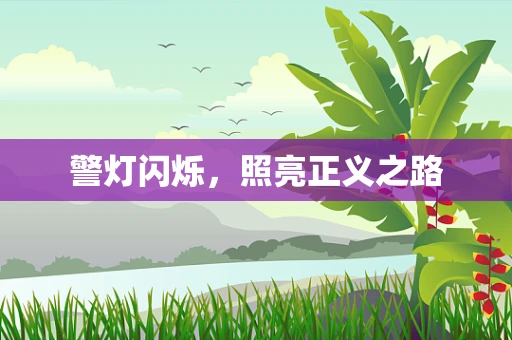 警灯闪烁，照亮正义之路