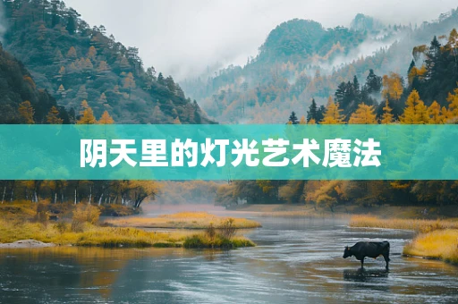 阴天里的灯光艺术魔法