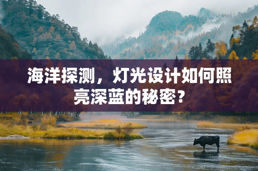 海洋探测，灯光设计如何照亮深蓝的秘密？