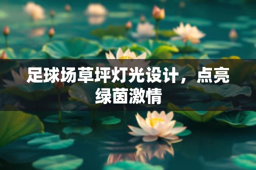 足球场草坪灯光设计，点亮绿茵激情