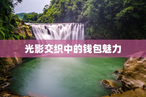 光影交织中的钱包魅力