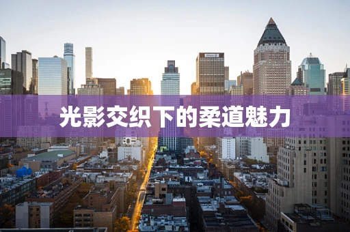 光影交织下的柔道魅力