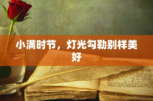 小满时节，灯光勾勒别样美好
