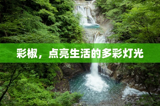 彩椒，点亮生活的多彩灯光