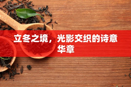 立冬之境，光影交织的诗意华章