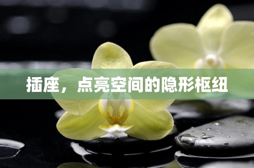 插座，点亮空间的隐形枢纽