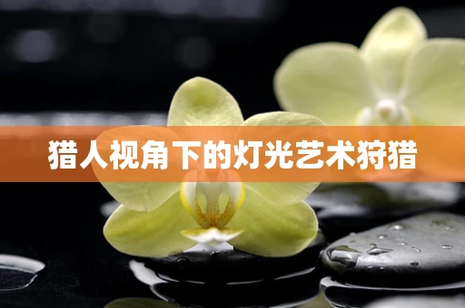 猎人视角下的灯光艺术狩猎