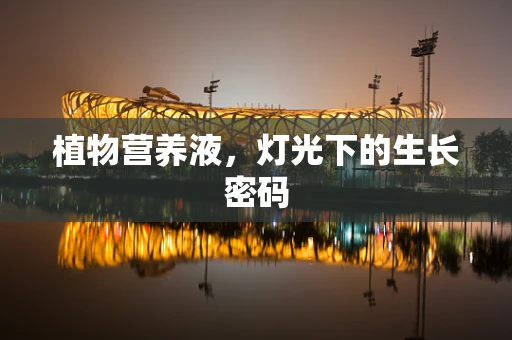 植物营养液，灯光下的生长密码
