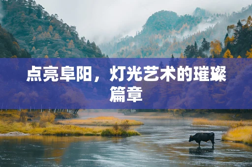 点亮阜阳，灯光艺术的璀璨篇章