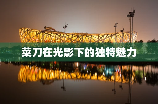 菜刀在光影下的独特魅力