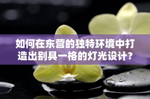 如何在东营的独特环境中打造出别具一格的灯光设计？