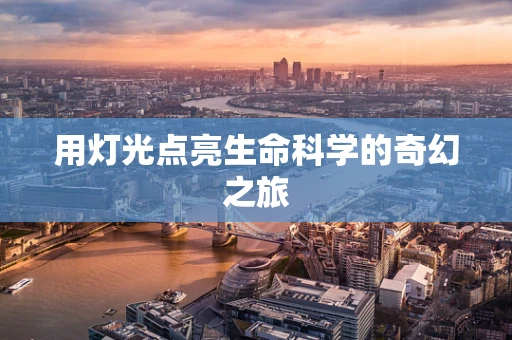 用灯光点亮生命科学的奇幻之旅