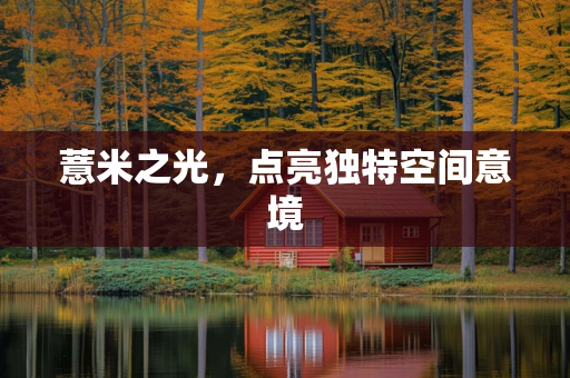 薏米之光，点亮独特空间意境