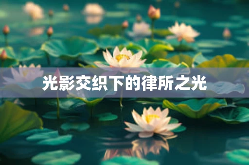 光影交织下的律所之光