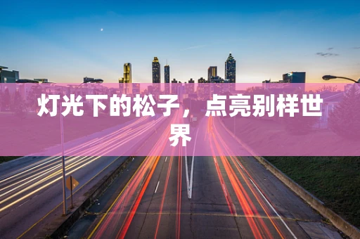 灯光下的松子，点亮别样世界