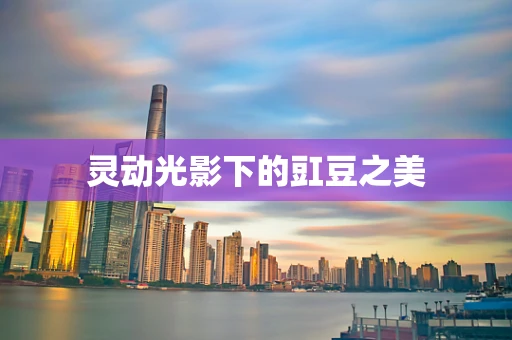 灵动光影下的豇豆之美