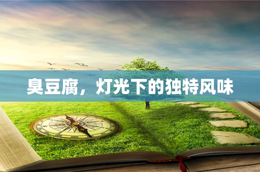 臭豆腐，灯光下的独特风味