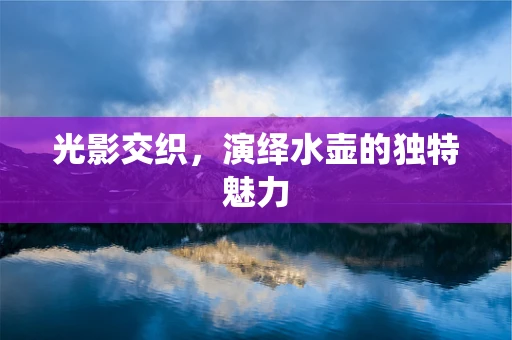 光影交织，演绎水壶的独特魅力