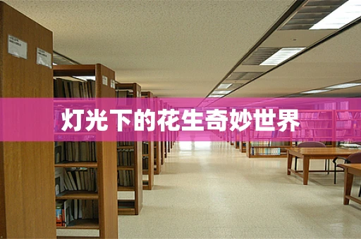 灯光下的花生奇妙世界