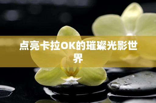 点亮卡拉OK的璀璨光影世界