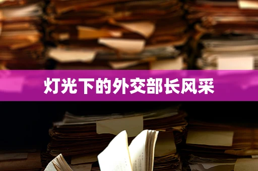 灯光下的外交部长风采