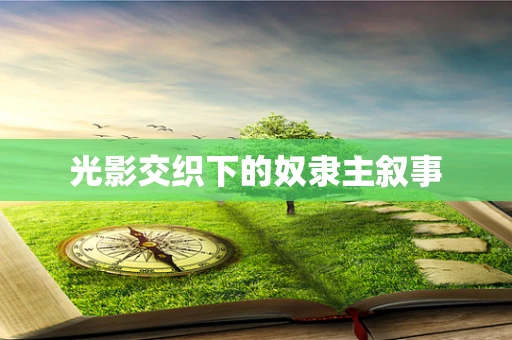 光影交织下的奴隶主叙事