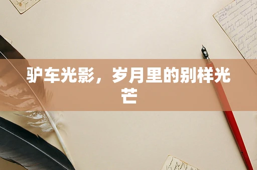 驴车光影，岁月里的别样光芒