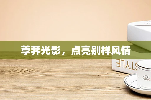 荸荠光影，点亮别样风情