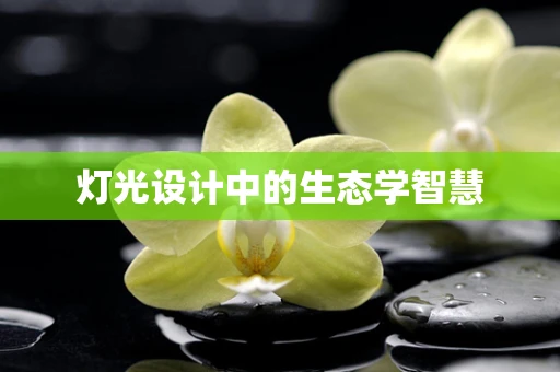 灯光设计中的生态学智慧
