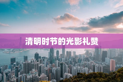 清明时节的光影礼赞