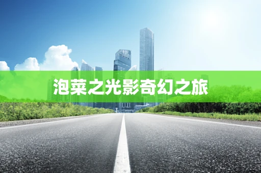 泡菜之光影奇幻之旅