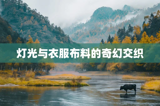 灯光与衣服布料的奇幻交织