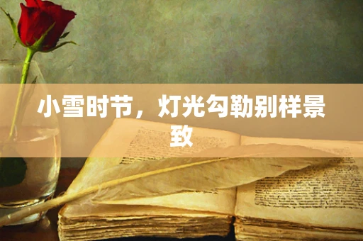 小雪时节，灯光勾勒别样景致