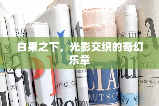 白果之下，光影交织的奇幻乐章