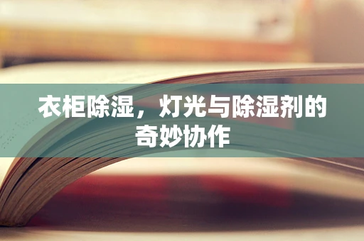 衣柜除湿，灯光与除湿剂的奇妙协作