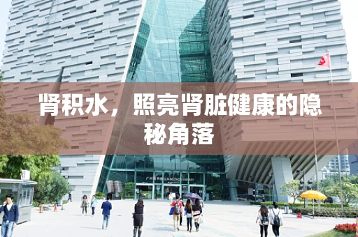 肾积水，照亮肾脏健康的隐秘角落