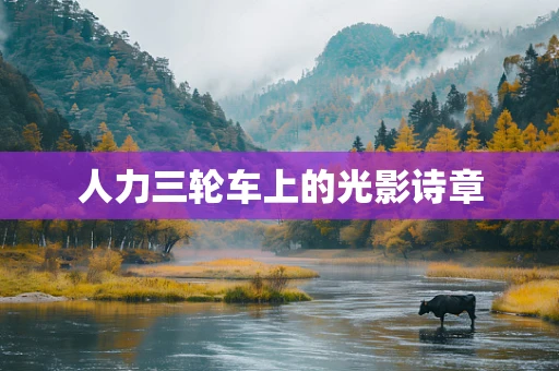 人力三轮车上的光影诗章