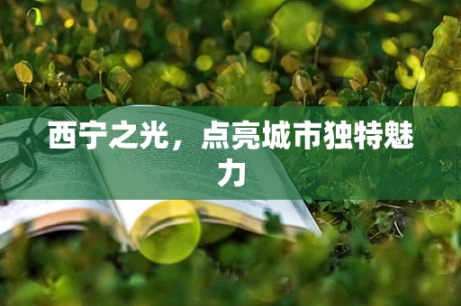 西宁之光，点亮城市独特魅力