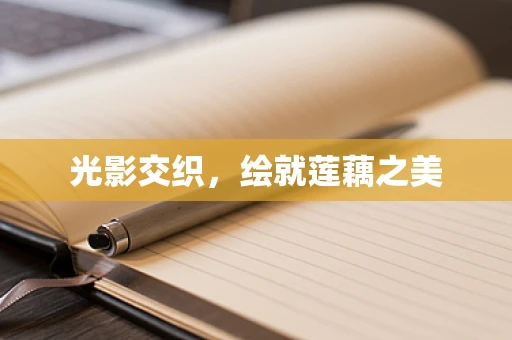 光影交织，绘就莲藕之美