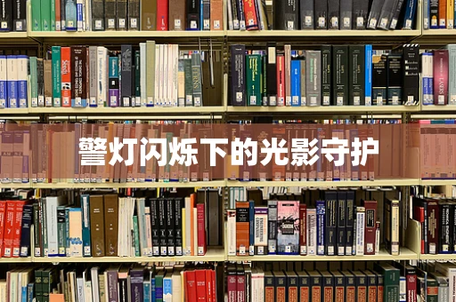 警灯闪烁下的光影守护