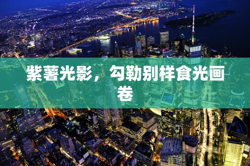 紫薯光影，勾勒别样食光画卷