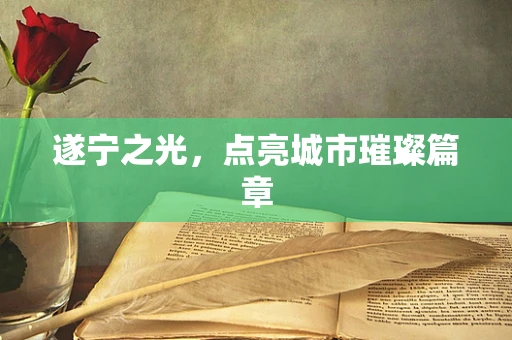 遂宁之光，点亮城市璀璨篇章
