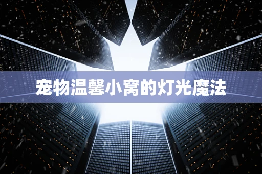 宠物温馨小窝的灯光魔法