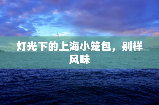 灯光下的上海小笼包，别样风味