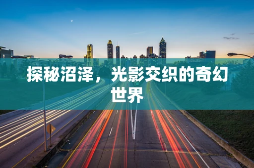 探秘沼泽，光影交织的奇幻世界
